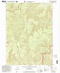 Download a high-resolution, GPS-compatible USGS topo map for Buckskin Peak, OR (1999 edition)