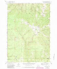 Download a high-resolution, GPS-compatible USGS topo map for Bullrun Rock, OR (1984 edition)
