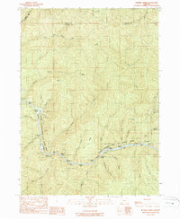 Download a high-resolution, GPS-compatible USGS topo map for Bunker Creek, OR (1989 edition)