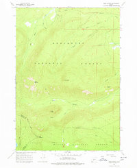 Download a high-resolution, GPS-compatible USGS topo map for Burn Butte, OR (1978 edition)