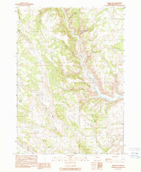 Download a high-resolution, GPS-compatible USGS topo map for Burns NW, OR (1990 edition)