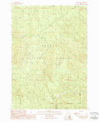 Download a high-resolution, GPS-compatible USGS topo map for Butler Butte, OR (1990 edition)