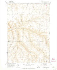 Download a high-resolution, GPS-compatible USGS topo map for Buttermilk Canyon, OR (1973 edition)