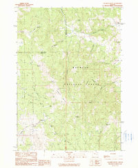 Download a high-resolution, GPS-compatible USGS topo map for Calamity Butte, OR (1990 edition)