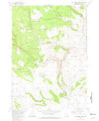 Download a high-resolution, GPS-compatible USGS topo map for Camp Currey Spring, OR (1982 edition)