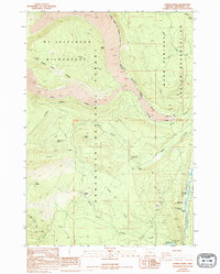Download a high-resolution, GPS-compatible USGS topo map for Candle Creek, OR (1994 edition)
