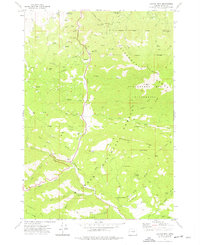Download a high-resolution, GPS-compatible USGS topo map for Canyon Mtn, OR (1976 edition)