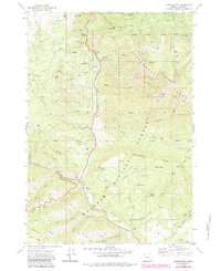 Download a high-resolution, GPS-compatible USGS topo map for Canyon Mtn, OR (1984 edition)