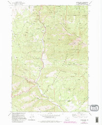 Download a high-resolution, GPS-compatible USGS topo map for Canyon Mtn, OR (1995 edition)