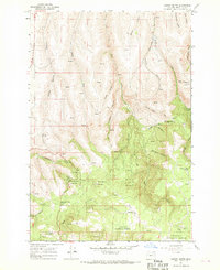 Download a high-resolution, GPS-compatible USGS topo map for Carney Butte, OR (1970 edition)