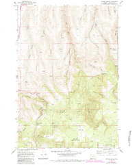 Download a high-resolution, GPS-compatible USGS topo map for Carney Butte, OR (1984 edition)