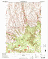 Download a high-resolution, GPS-compatible USGS topo map for Carney Butte, OR (1998 edition)