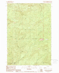 Download a high-resolution, GPS-compatible USGS topo map for Carpenter Mountain, OR (1989 edition)