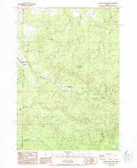 Download a high-resolution, GPS-compatible USGS topo map for Chandler Mountain, OR (1988 edition)