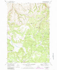 Download a high-resolution, GPS-compatible USGS topo map for Chapin Creek, OR (1985 edition)