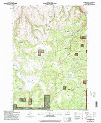 Download a high-resolution, GPS-compatible USGS topo map for Chapin Creek, OR (1998 edition)