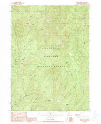 Download a high-resolution, GPS-compatible USGS topo map for Chetco Peak, OR (1989 edition)