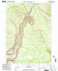 Download a high-resolution, GPS-compatible USGS topo map for Chicken Hills, OR (2004 edition)