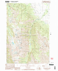 Download a high-resolution, GPS-compatible USGS topo map for Chief Joseph Mtn, OR (1990 edition)