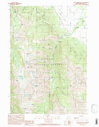 Download a high-resolution, GPS-compatible USGS topo map for Chief Joseph Mtn, OR (1990 edition)