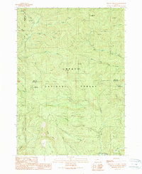 Download a high-resolution, GPS-compatible USGS topo map for Chilcoot Mountain, OR (1990 edition)