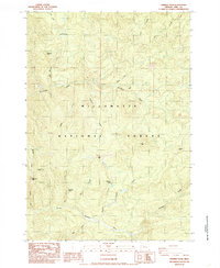 Download a high-resolution, GPS-compatible USGS topo map for Chimney Peak, OR (1985 edition)