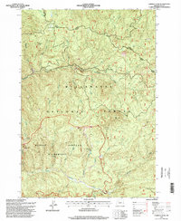 Download a high-resolution, GPS-compatible USGS topo map for Chimney Peak, OR (1998 edition)