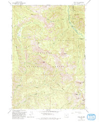 Download a high-resolution, GPS-compatible USGS topo map for China Cap, OR (1993 edition)