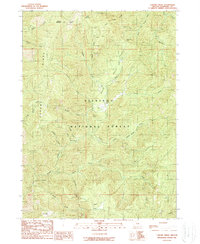 Download a high-resolution, GPS-compatible USGS topo map for Chrome Ridge, OR (1989 edition)