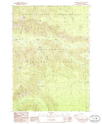 Download a high-resolution, GPS-compatible USGS topo map for Chucksney Mountain, OR (1986 edition)
