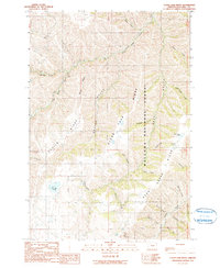 Download a high-resolution, GPS-compatible USGS topo map for Clear Lake Ridge, OR (1990 edition)