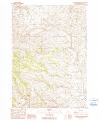 Download a high-resolution, GPS-compatible USGS topo map for Clover Creek Ranch, OR (1990 edition)