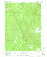 Download a high-resolution, GPS-compatible USGS topo map for Coffeepot Creek, OR (1982 edition)