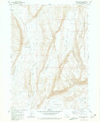 Download a high-resolution, GPS-compatible USGS topo map for Coffin Butte, OR (1981 edition)