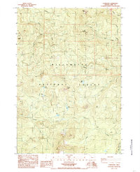Download a high-resolution, GPS-compatible USGS topo map for Coffin Mountain, OR (1985 edition)