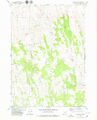 Download a high-resolution, GPS-compatible USGS topo map for Coleman Mtn, OR (1979 edition)