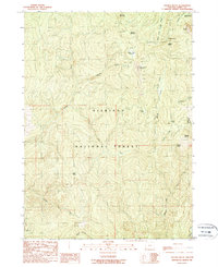 Download a high-resolution, GPS-compatible USGS topo map for Collier Butte, OR (1989 edition)