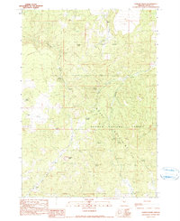 Download a high-resolution, GPS-compatible USGS topo map for Conant Basin, OR (1990 edition)