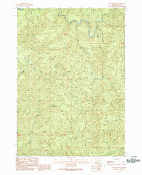 Download a high-resolution, GPS-compatible USGS topo map for Coos Mountain, OR (1990 edition)