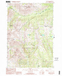 Download a high-resolution, GPS-compatible USGS topo map for Cornucopia, OR (1990 edition)