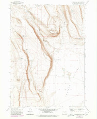 Download a high-resolution, GPS-compatible USGS topo map for Corporation Rim, OR (1980 edition)