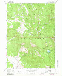Download a high-resolution, GPS-compatible USGS topo map for Cougar Peak, OR (1980 edition)