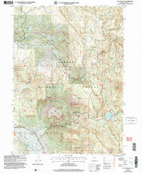 Download a high-resolution, GPS-compatible USGS topo map for Cougar Peak, OR (2007 edition)