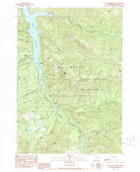 Download a high-resolution, GPS-compatible USGS topo map for Cougar Reservoir, OR (1989 edition)