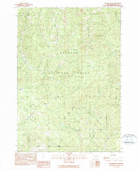 Download a high-resolution, GPS-compatible USGS topo map for Cougar Rock, OR (1990 edition)