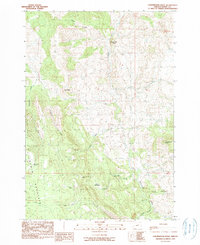 Download a high-resolution, GPS-compatible USGS topo map for Courthouse Rock, OR (1990 edition)