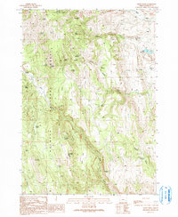 Download a high-resolution, GPS-compatible USGS topo map for Craft Point, OR (1991 edition)