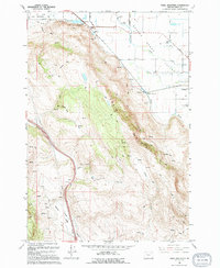 Download a high-resolution, GPS-compatible USGS topo map for Craig Mountain, OR (1994 edition)