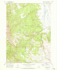 Download a high-resolution, GPS-compatible USGS topo map for Crane Mountain, OR (1972 edition)