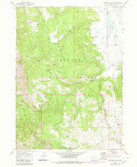 Download a high-resolution, GPS-compatible USGS topo map for Crane Mountain, OR (1980 edition)